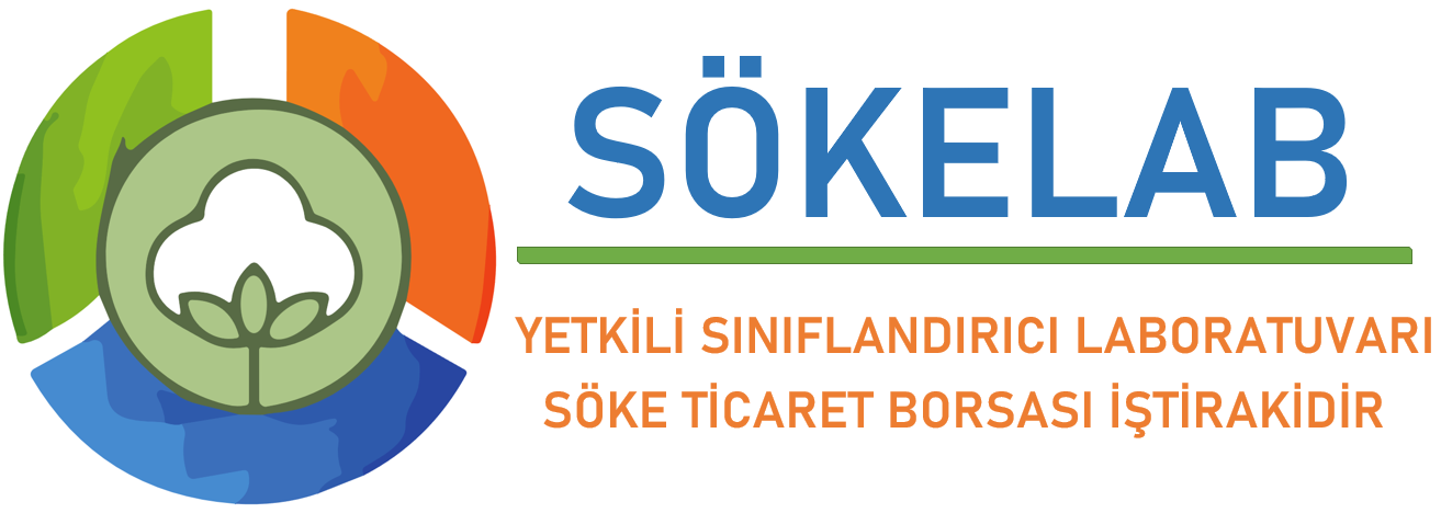Söke Lab